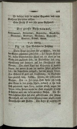 Der große Rohrdommel,