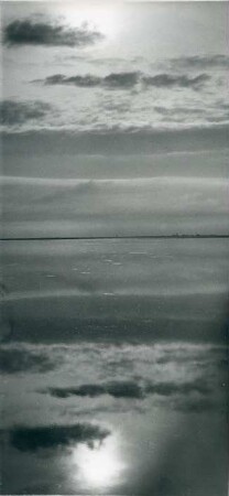 Landschaft im Wattenmeer und Insel Neuwerk im Hintergrund