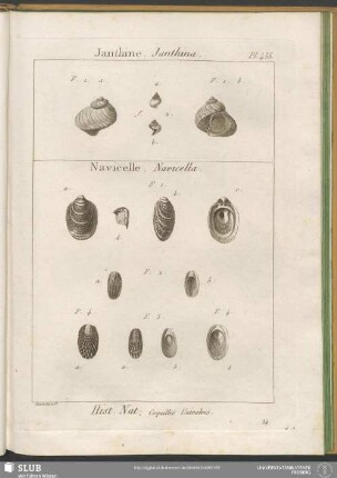 Pl. 456. Janthine. Janthina - Navicelle. Navicella