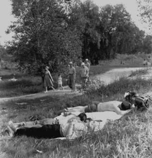 Parkanlage im Sommer. Spaziergänger und Sonnenbadende