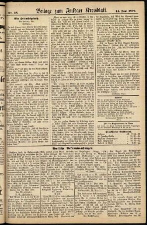 Zweite Ausgabe vom Samstag, den 14. Juni 1879.