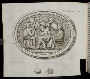 Tav. VIII. pag. CXXVIII.