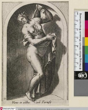 Venus in ædibus Card. Farnesij