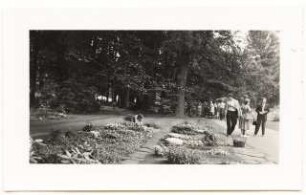 Bundesgartenschau 1955, Kassel: Musterfriedhof