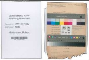 Entnazifizierung Robert Gottsmann , geb. 06.06.1900 (Zollsekretaer)