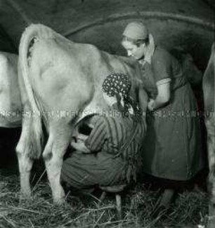 Arbeitsmaid des Reichsarbeitsdienstes erhält eine Einweisung im Melken durch die Bäuerin