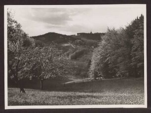 Lippische Schweiz. Detmold. Heiligenkirchen