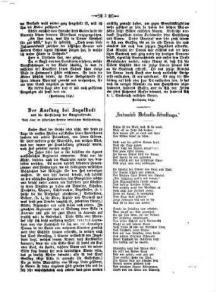 Ingolstädter Tagblatt. Sonntagsblatt, 1874
