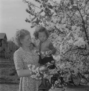 Ein kleines Mädchen schaut sich auf dem Arm seiner Mutter die blühenden Zweige eines Kirschbaums an
