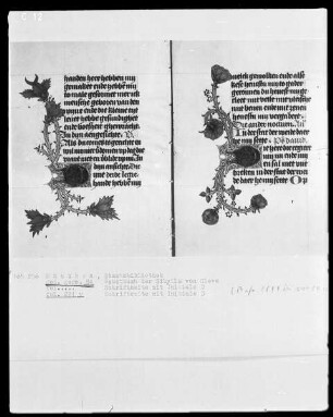 Gebetbuch der Prinzessin Sibylla von Kleve — Initiale D mit anschließender Ranke, Folio 271verso