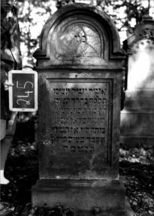 Grabstein 245 (Index: 100110993) Material: Sandstein Zustand: gut Maße HxBxT: 138x58x25 cm Beschreibung: Stele, profilierter Sockel, eingezogener Rundbogenabschluß, rechteckiges Schriftfeld eingetieft: Grabstein 245