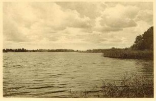 Postkarte, Soldin (Neumark)