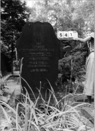 Grabstein 541