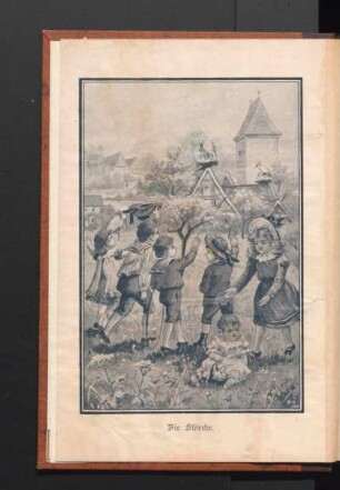 Die Störche.
