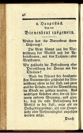 8. Hauptstück. Von der Bienenbrut insgemein.