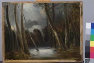 Flußlandschaft