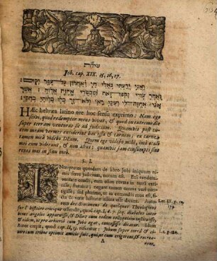 Disp. inaug. de Goele Jobi, ad iudicium venturo, et oculis corporis conspiciendo