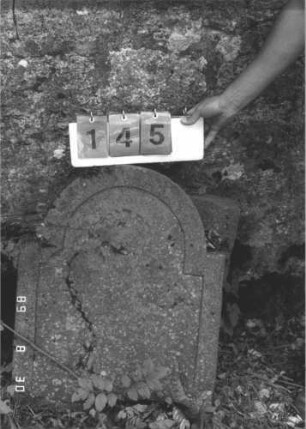 Grabstein 145 (Index: 99609781) Material: Sandstein Zustand: stark verwittert, gerissen, völliger Textverlust Maße HxBxT: 74x56x9 cm Beschreibung: Stele, eingezogener Rundbogenabschluß, Schriftfeld eingetieft: Grabstein 145
