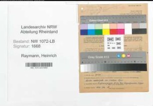Entnazifizierung Heinrich Raymann , geb. 02.12.1902 (Tischler)