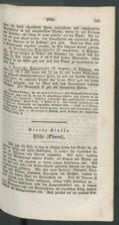 Vierte Klasse. Fische (Pisces).