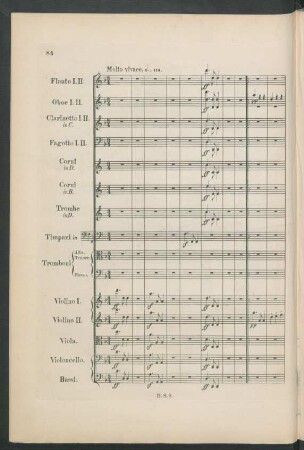 [2.] Molto vivace