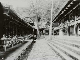 Nara, Japan. Heilige Laternen im Shinto-Schrein Kasuga-Taisha