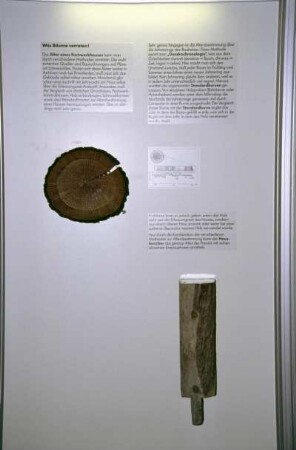 Ausstellungstafel "Was Bäume verraten!"