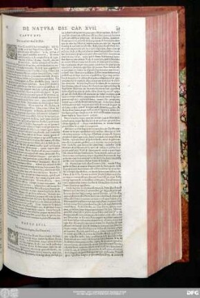 Caput XVI. De nomine [...] & Dei.