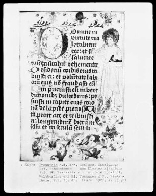 Lateinisches Stundenbuch fol. 24r