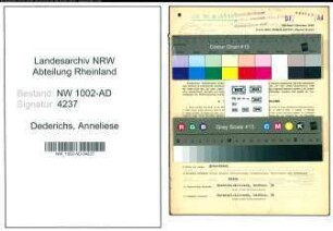 Entnazifizierung Anneliese Dederichs, geb. 15.02.1909 (Stenotypistin)