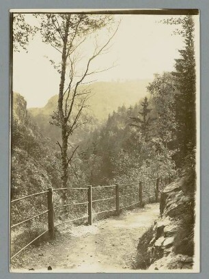 Das Bodetal bei Thale, Harz