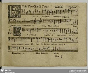 XXIX. Planxit David rex Absalon natum suum