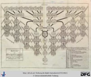 Schema seu Delineatio Graduum Consanguinitatis.