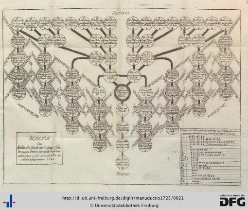 Schema seu Delineatio Graduum Consanguinitatis.