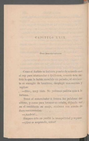 Capítulo XXIX. - Otro descubrimiento.