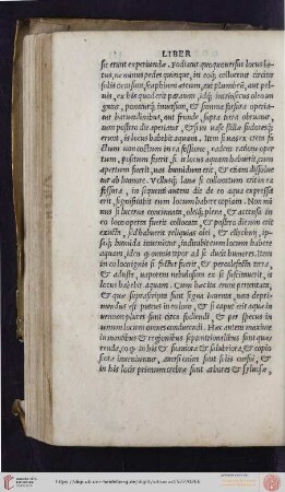 Liber octavus