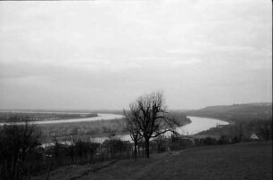 Rheinweiler: Rhein und Rheinseitenkanal
