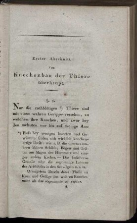 Erster Abschnitt. Vom Knochenbau der Thiere überhaupt