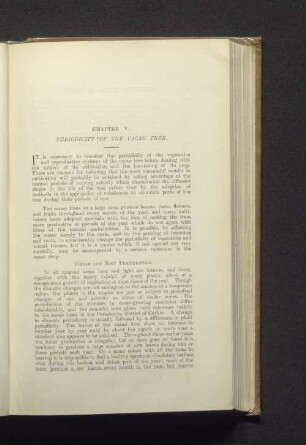 Chapter V. Periodicity of the cacao tree.