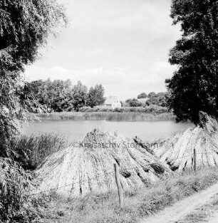 Moorteich: im Vordergrund Hocken mit Reetbündeln: hinten Bäume und Häuser