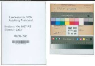 Entnazifizierung Karl Bahle , geb. 15.11.1901 (Buchhalter)