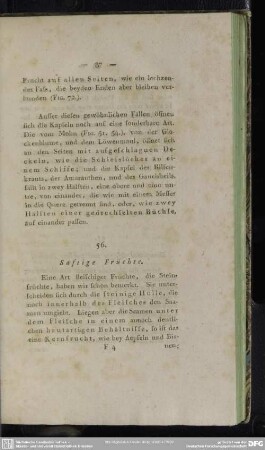 56. Saftige Früchte