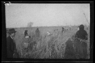 Odobești (=Rumänien): "Frauen auf dem Feld" (Rückansicht)