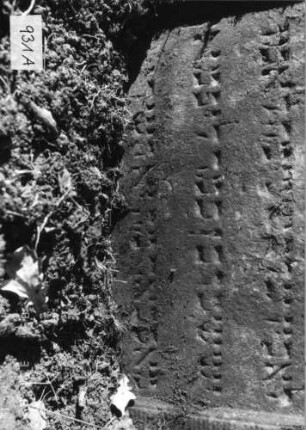 Grabstein 931 (Index: 99753183) Material: Sandstein Zustand: leicht verwittert mit Textverlust Maße HxBxT: 71x64x7 cm Beschreibung: Stele, Konvexbogenabschluß, Schriftfeld eingetieft Symbolik: nach unten hängende Palmzweige: Grabstein 931A