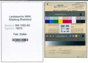 Entnazifizierung Walter Feik, geb. 23.11.1913 (Pfoertner)