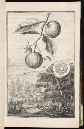 p. 146a Die alte Vestung bey Zirendorff. - Alte Veste, Zirndorf