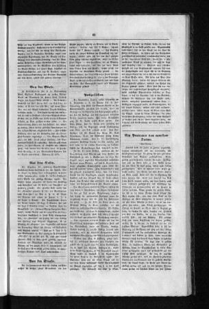 Ein Puritaner von neuestem Datum.
