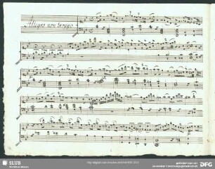 Allegro non troppo
