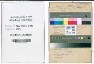 Entnazifizierung Elisabeth Westhoff , geb. 07.02.1903 (Kontoristin)