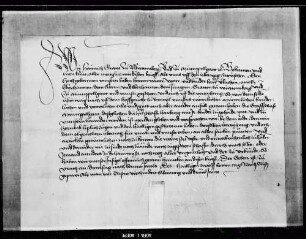 Graf Heinrich verspricht, den Uracher Vertrag und den Rottweiler Verzicht aufrecht zu halten.